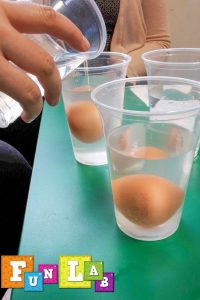 eksperymenty z jajkami szkolenie dla nauczycieli